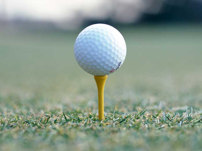 336 Dimples On Golf Ball 336 Dimples On Golf Ball