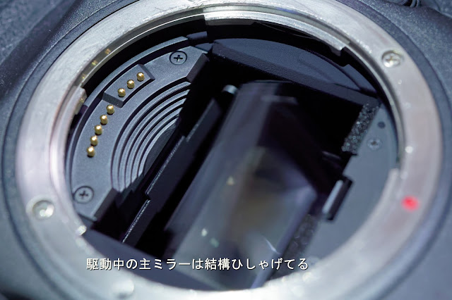 騒がしい一眼レフのミラー駆動 これは退場処分だな