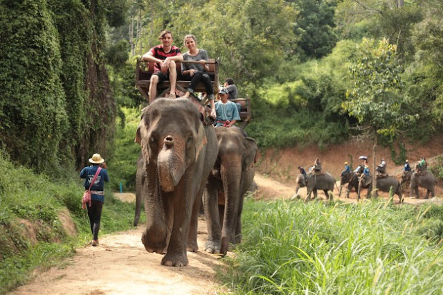 Chiang Mai - The rose of the North in Thailand Chiang Mai - The rose of the North in Thailand