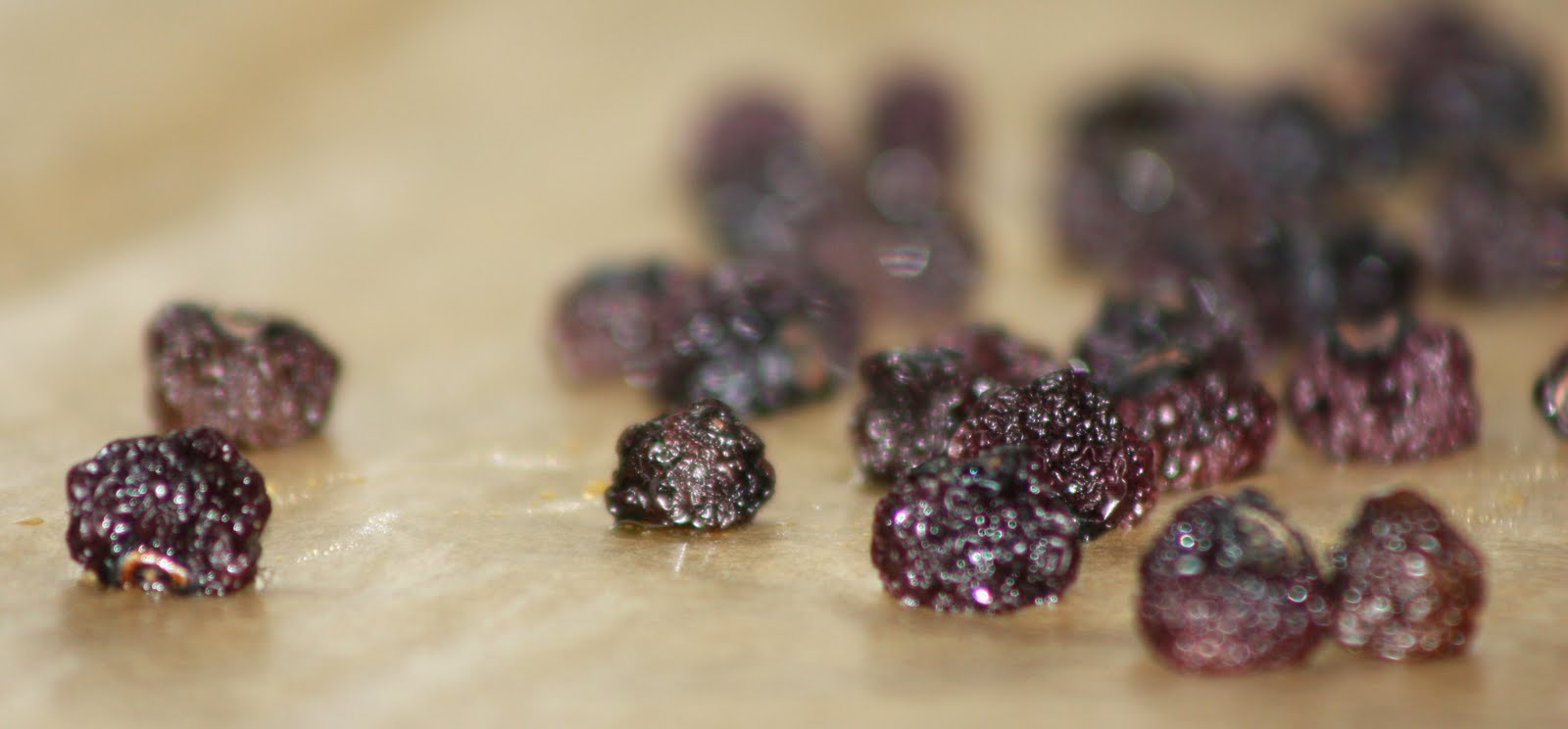 With cream & sugar... Ovendried blueberries