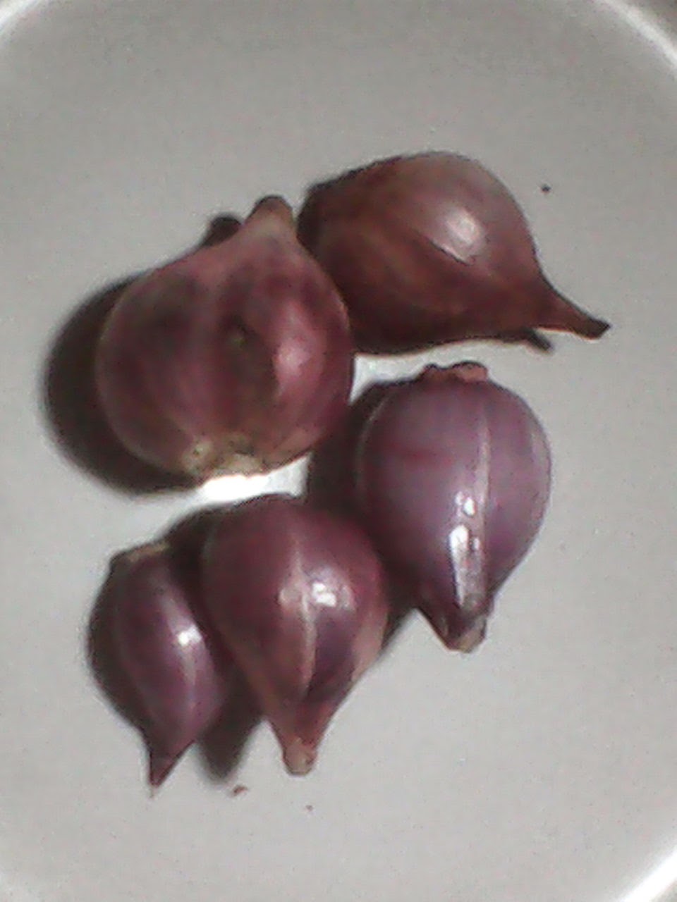 Manfaat Resep Obat Alami Tradisional Resep Obat Tradisional Manfaat Resep Obat Alami Tradisional Resep Obat Tradisional