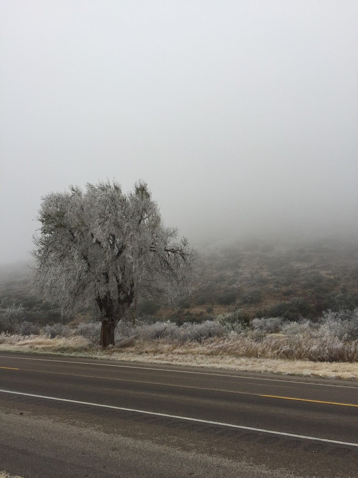 Home Made Austin A chilly trip to Marfa, TX