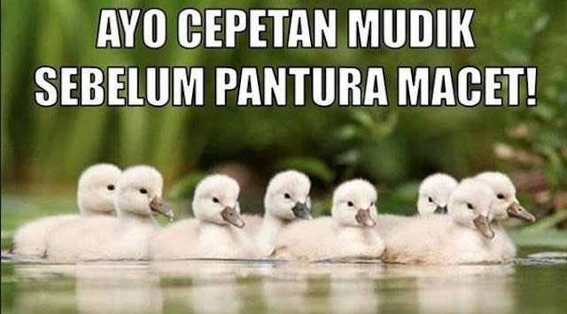 33 Meme Mudik Lebaran Yang Bikin Kamu Nyengir……! 33 Meme Mudik Lebaran Yang Bikin Kamu Nyengir……!