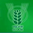 NCIPM Recruitment NCIPM Recruitment