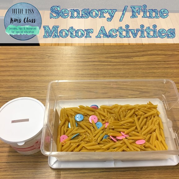 Little Miss Kim's Class Sensory/ Fine Motor Activities in Special Education