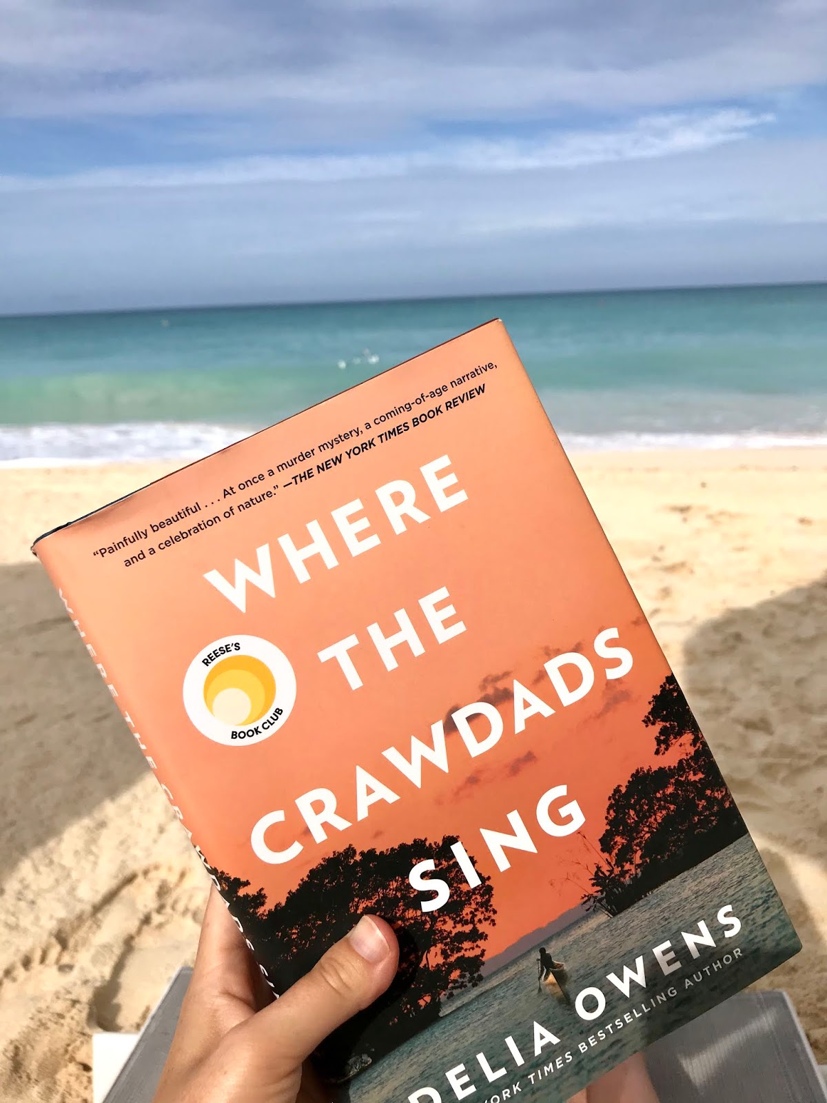 book review where the crawdads sing