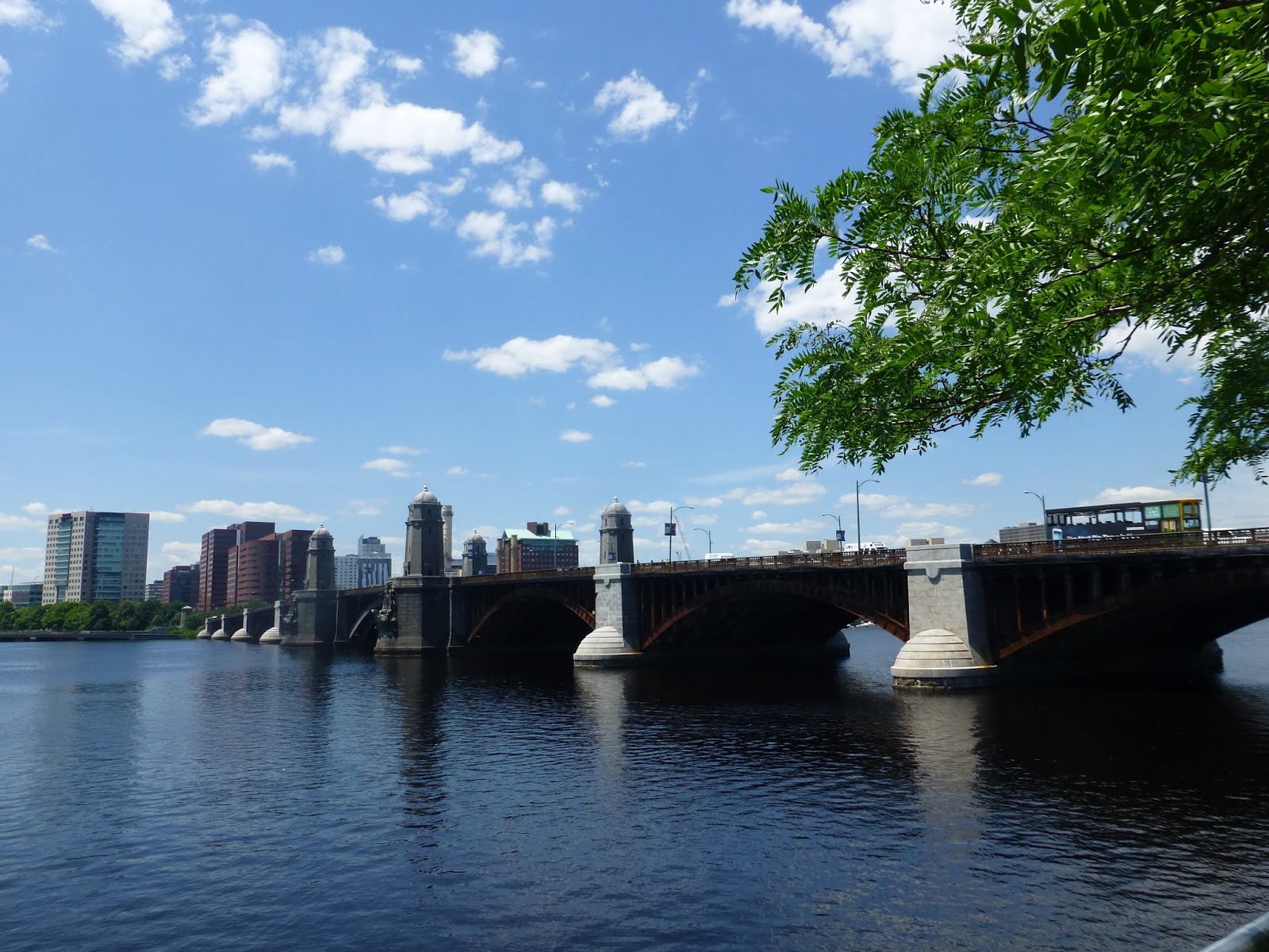 Mary Clark, Traveler: Rita Gillooly's Boston