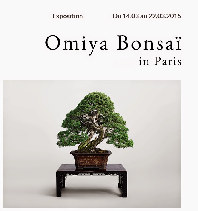 Esprit Bonsaï EXPO >> Omiya bonsaï et démonstrations à Paris, 14 au
