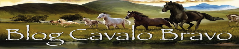 Cavalo Bravo