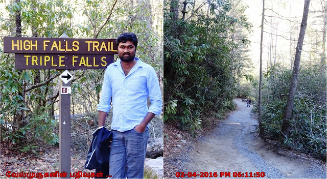 High Falls Trailhead - Dupont State Forest