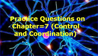 Practice Questions on Chapter=7 (Control and Coordination) 