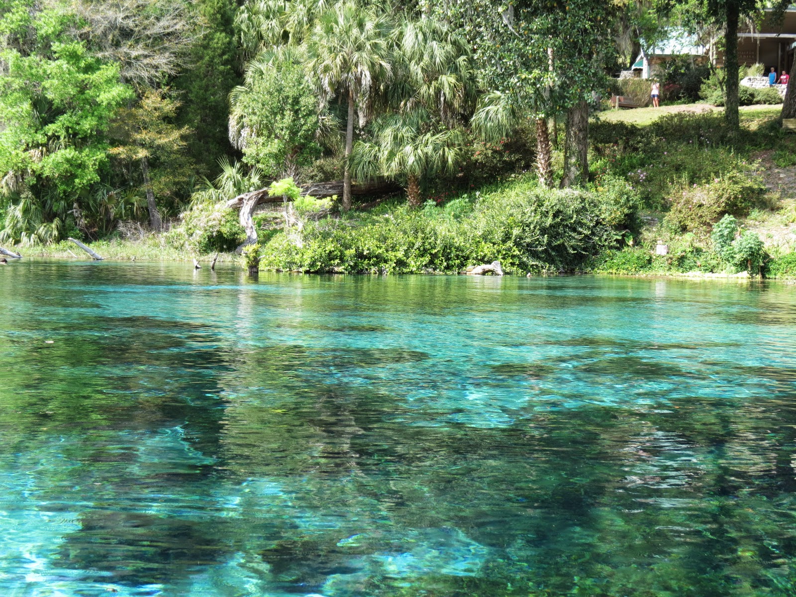 Let's Just Go Somewhere Rainbow Springs