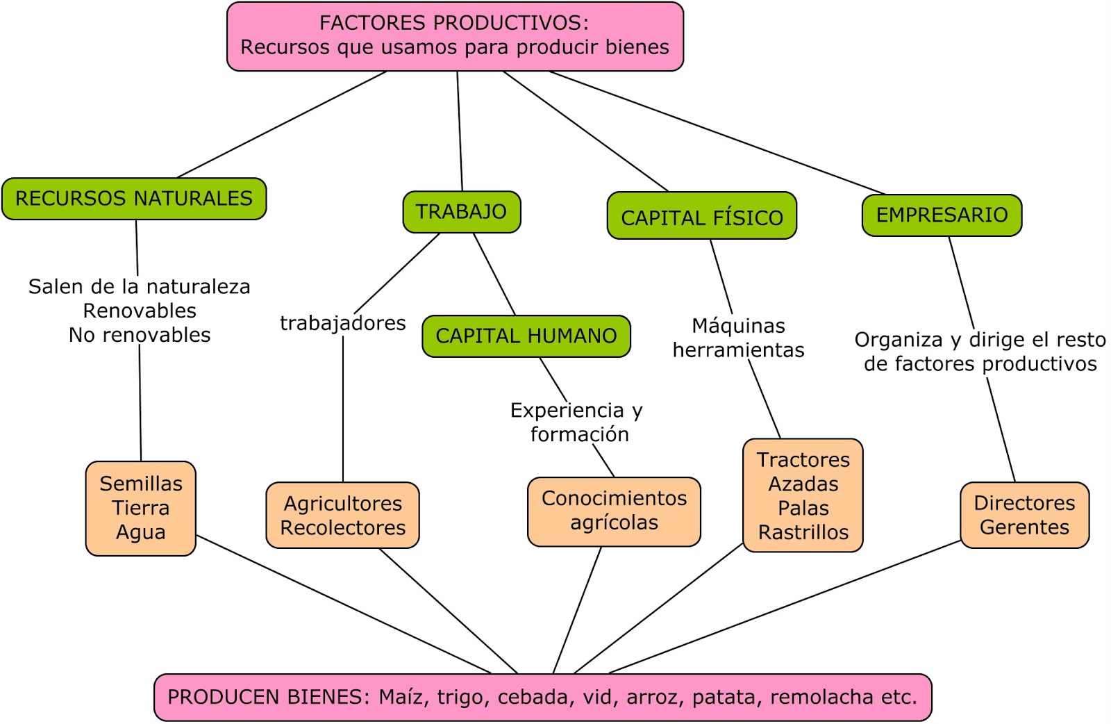 1. LOS FACTORES PRODUCTIVOS ECONOSUBLIME