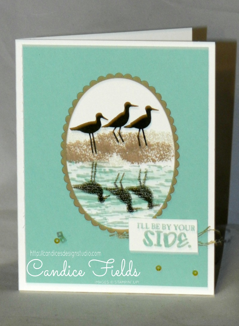 High Tide Series Card 1