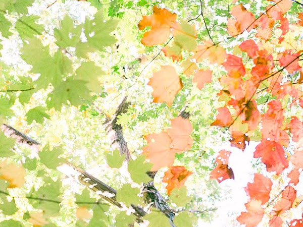 Work-Life Balance is a Myth