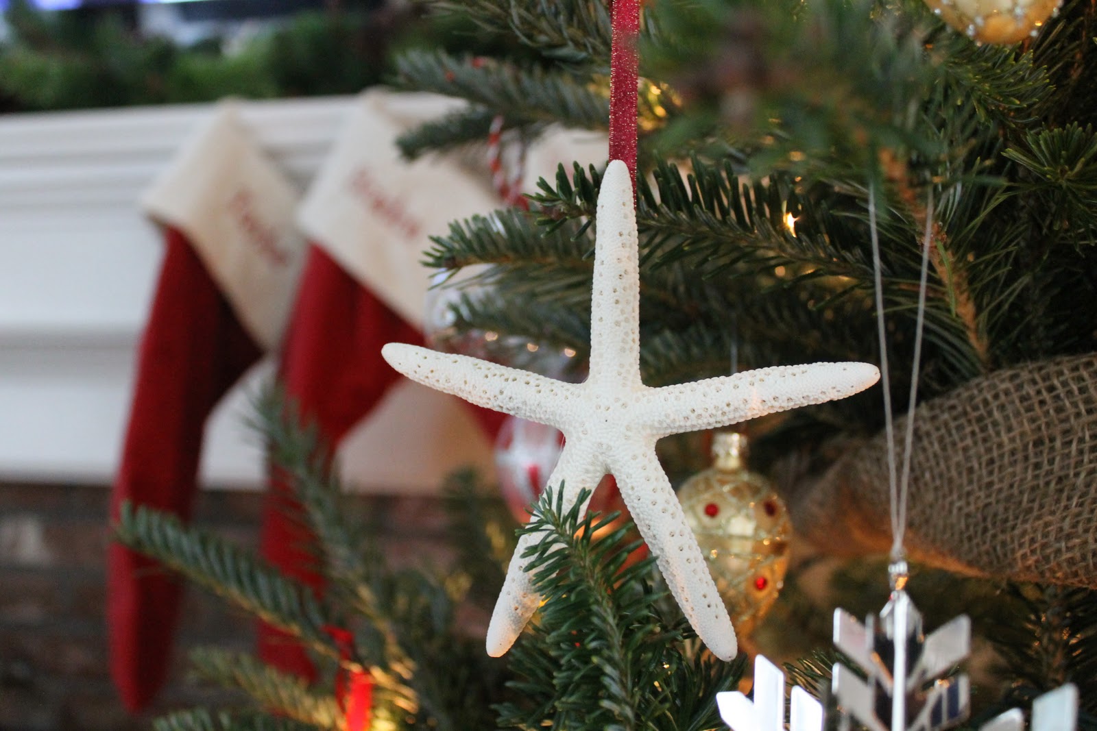 Beach Chic A Coastal Christmas Tree & DIY Starfish Ornament