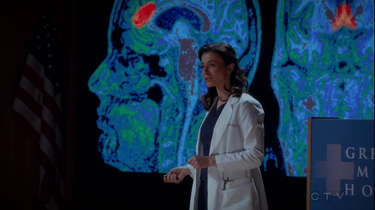 Grey's Anatomy 11x13