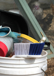 coop chicken cleaning clean supplies steps spring chickens community stored bucket ready place