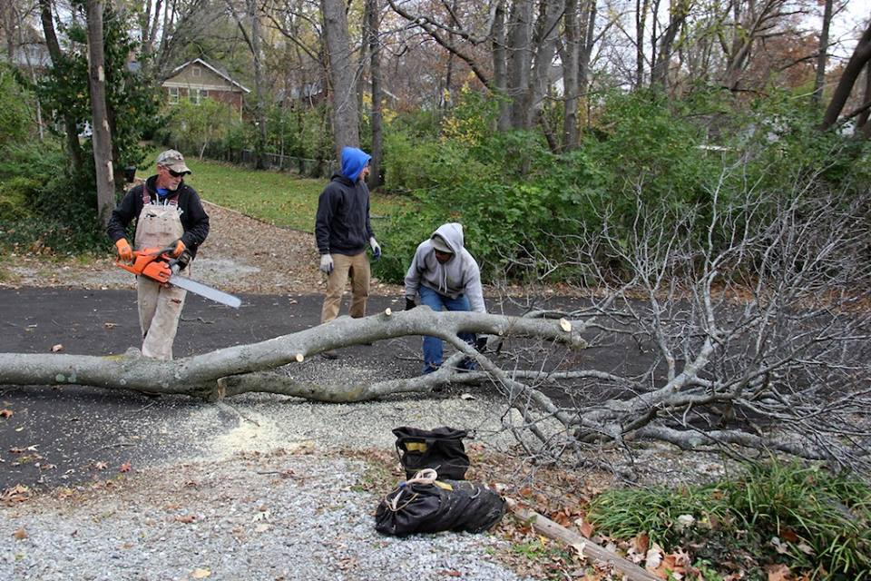 MEC&F Expert Engineers Tree limb kills 25yearold worker employed by