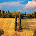Tuscany ( Toscana ). A voyage  to Tuscany, Italy, Europe - Florence, Pisa, Siena, Pistoia, Fiesole...