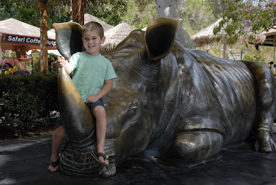 Grandson and Rhinoceros: LadyD Books