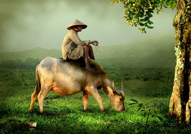 Asian Art Buffalo Grass Meadow Shepherd Nature Animals Asian Art Buffalo Grass Meadow Shepherd Nature Animals