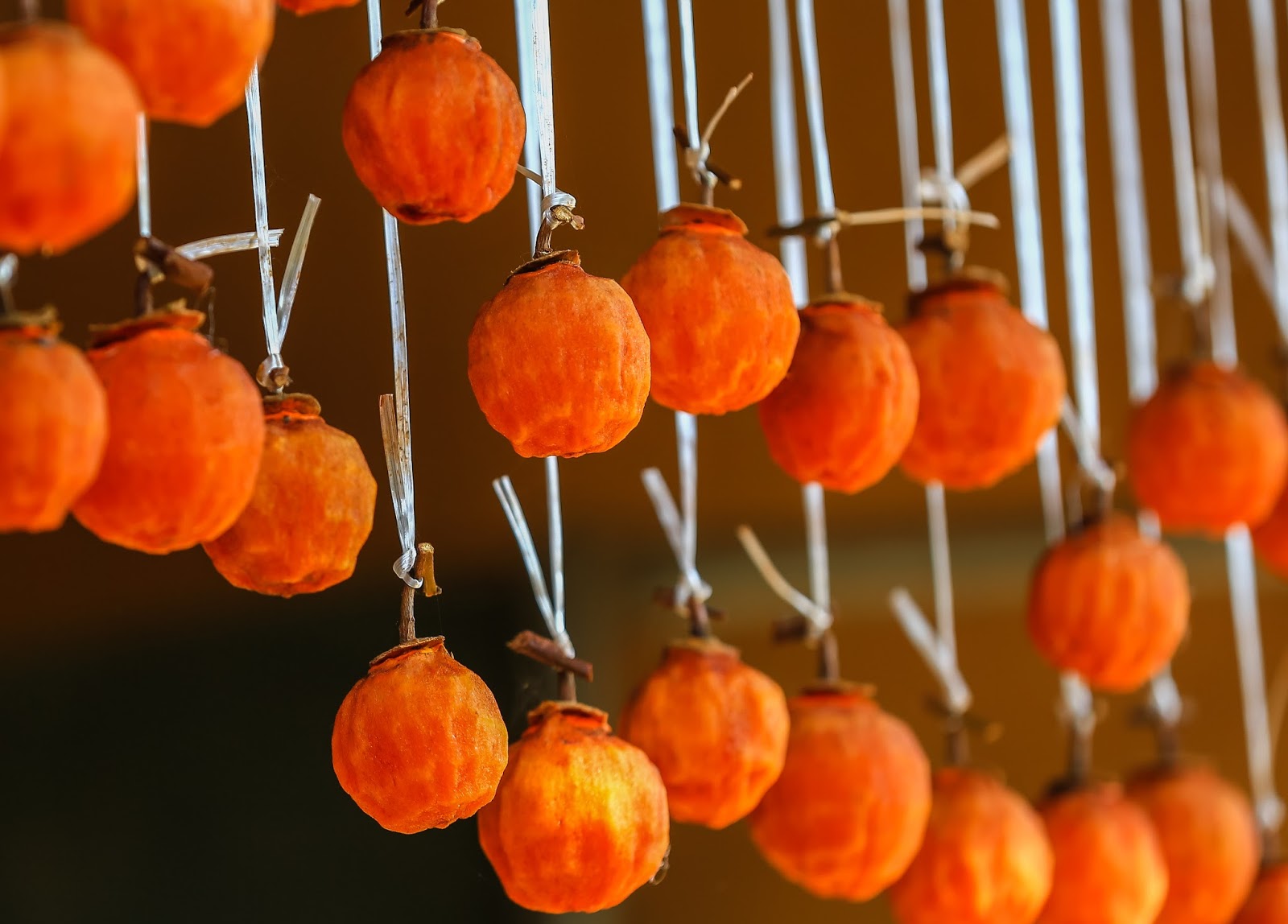 Living in Korea 101 5 MustTry Korean Winter Fruits Festival Korea