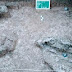 Tim Ekskavasi Temukan Lima Kerangka Manusia Era 45 SM Di Area Situs Subang Larang