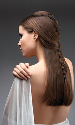 2013 Hairstyles With Braids 