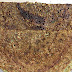 Moong dosa