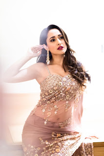 Actress Pragya Jaiswal Transparent Saree Stills Actress Pragya Jaiswal Transparent Saree Stills