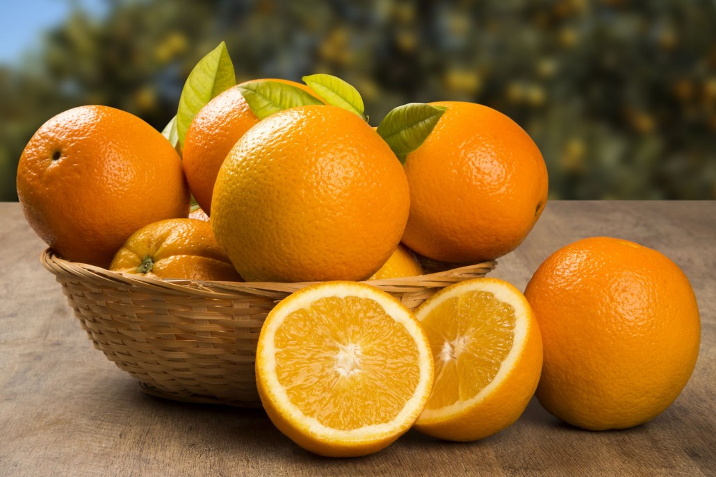 Producción de la Agricultura CULTIVOS DE NARANJA