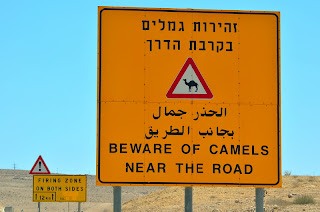 Image result for camel sign israel