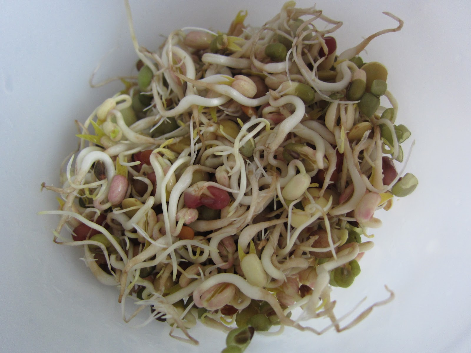 The Living Alley Baby Sprouts