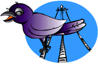 Bird on Power Line