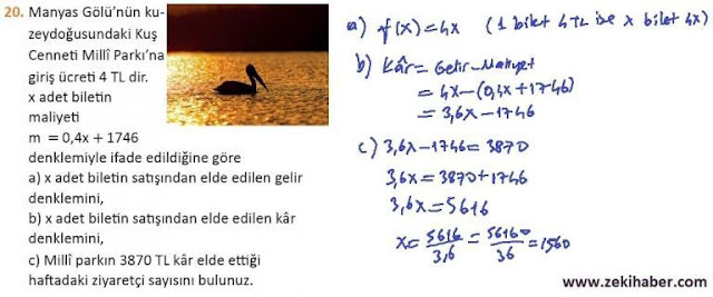 11. Sınıf MEB Yayınları Matematik 119. Sayfa Cevapları