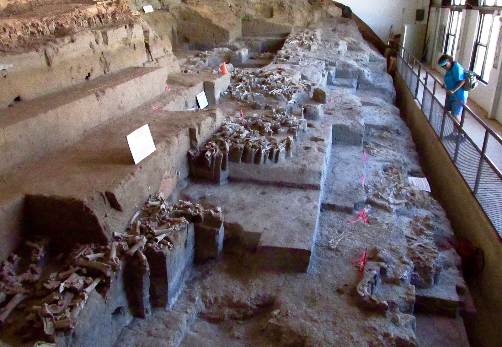 Wandering w/ Serenity Clovis Point