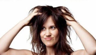 Cara Mencegah Dan Mengatasi Kutu Rambut Cara Mencegah Dan Mengatasi Kutu Rambut
