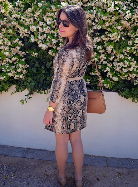 mulaya, animal print, vestido, peluquería, daniel matallín