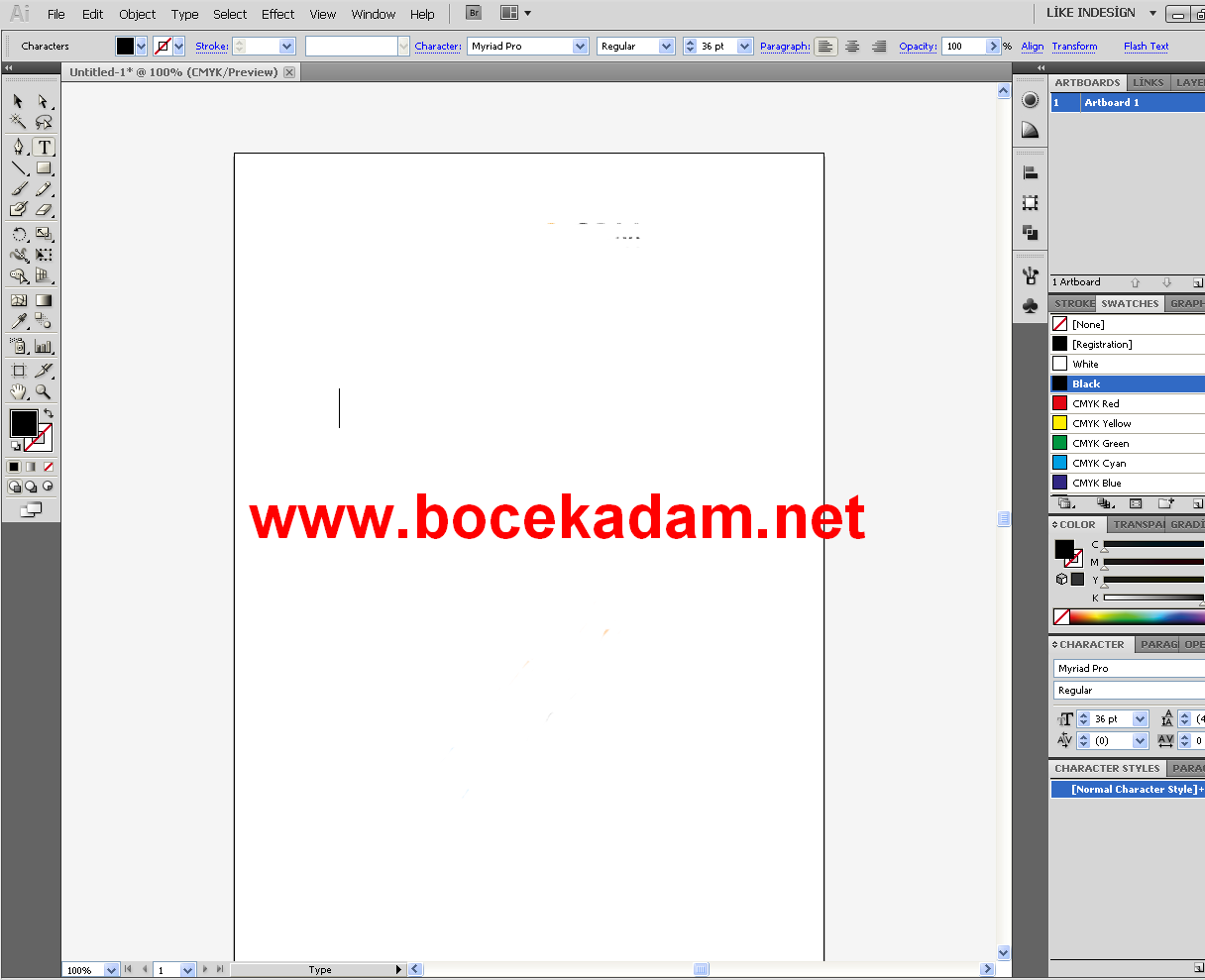 Adobe İllustrator CS5 Portable Full İndir Böcek Adam Bilgisayar