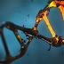 Peran DNA Sampah