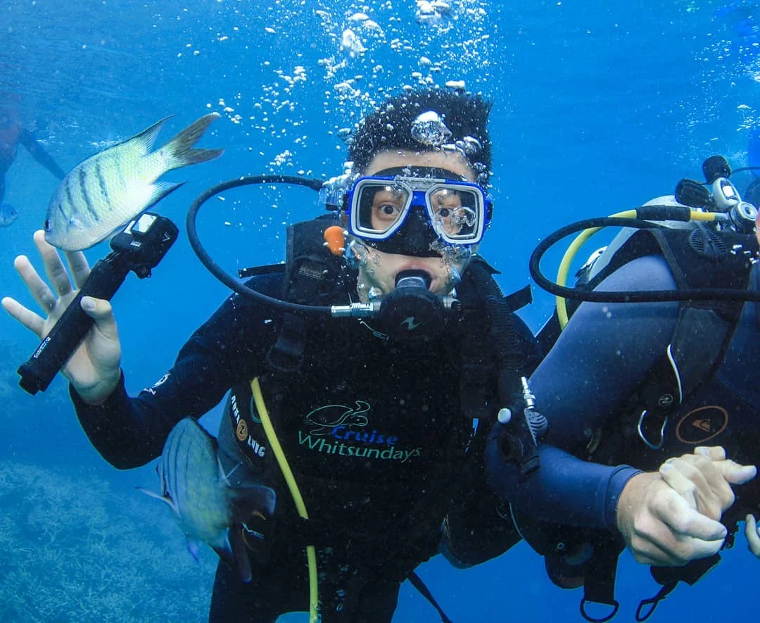 聖靈群島-景點-推薦-大堡礁-浮潛-潛水-行程-玩水-一日遊-遊記-攻略-自由行-旅遊-澳洲-Whitsundays-Great-Barrier-Reef