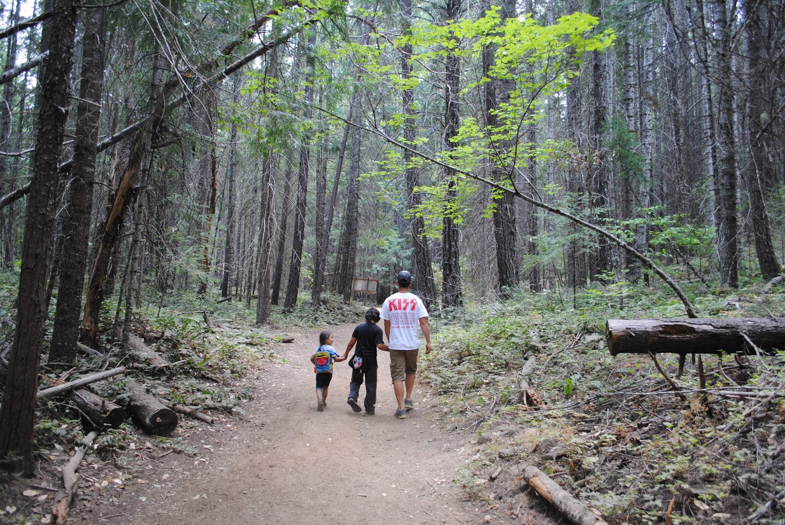 Lithia Great Falls >> What to do in Southern Oregon Lithia Great Falls >> What to do in Southern Oregon