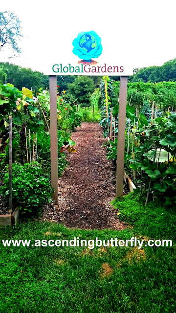 Global Gardens - The Edible Academy, New York Botanical Garden