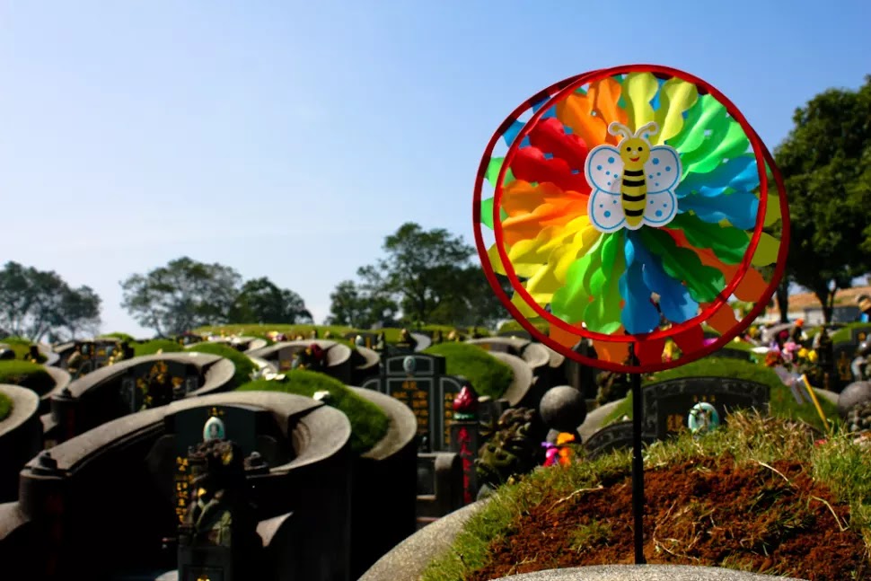 Under The Angsana Tree Qingming Jie Festival 清明節 2018