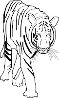 Mewarnai Gambar Harimau Mewarnai Gambar Mewarnai Gambar Harimau Mewarnai Gambar