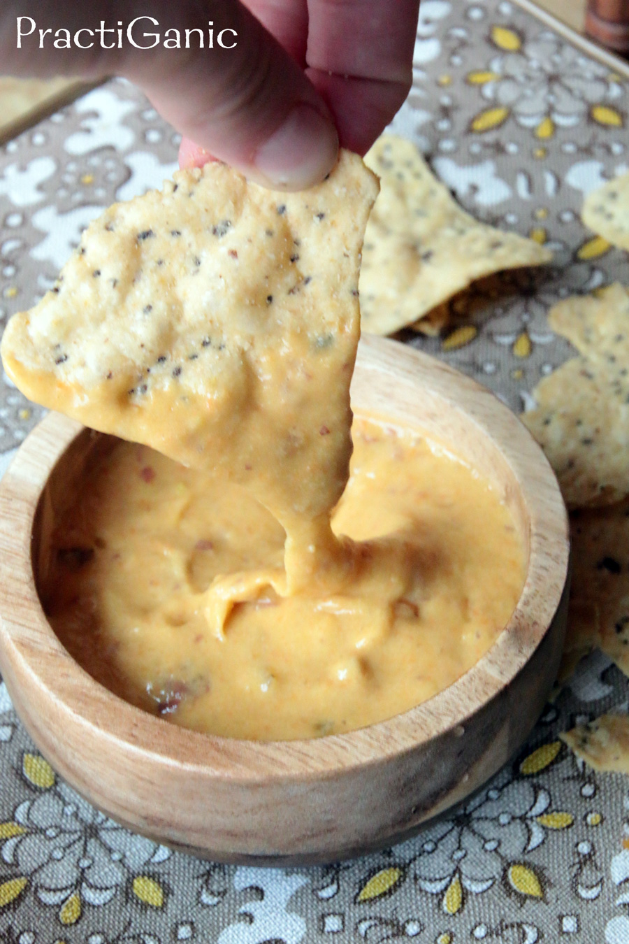 Easy Vegan Nacho Cheese Dip (NutFree and SoyFree) PractiGanic
