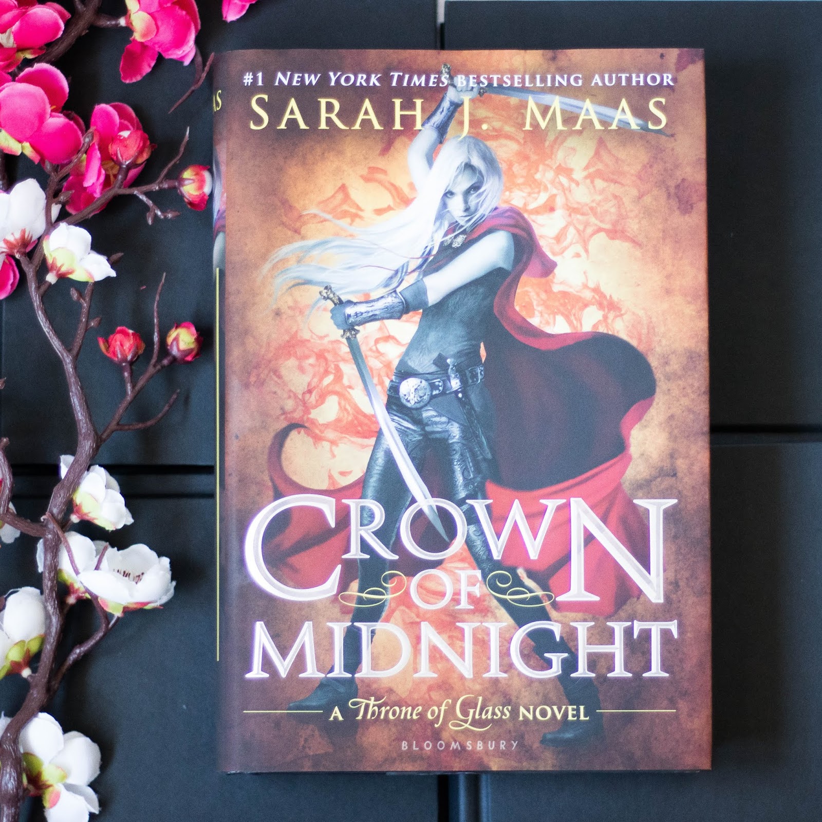 [LIVRO] Coroa da MeiaNoite (Trono de