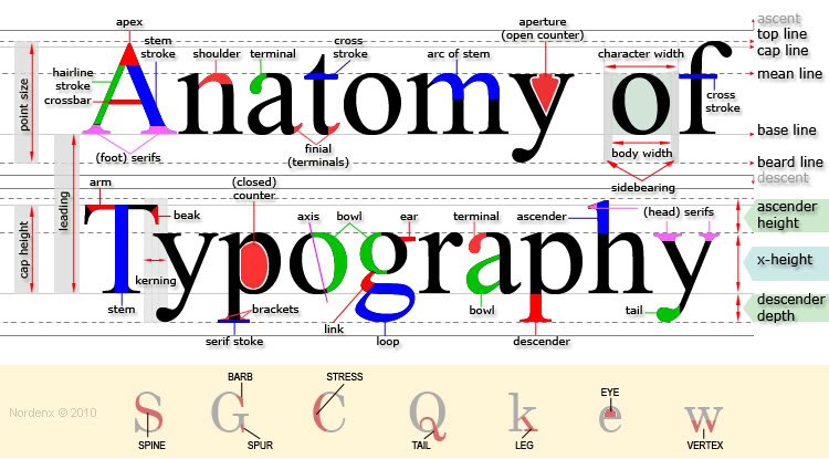 diagonal bar e transitional typeface diagonal bar e transitional typeface