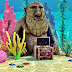 Sims 3 Lot Download: Mermaid's Den (Diving Spot)